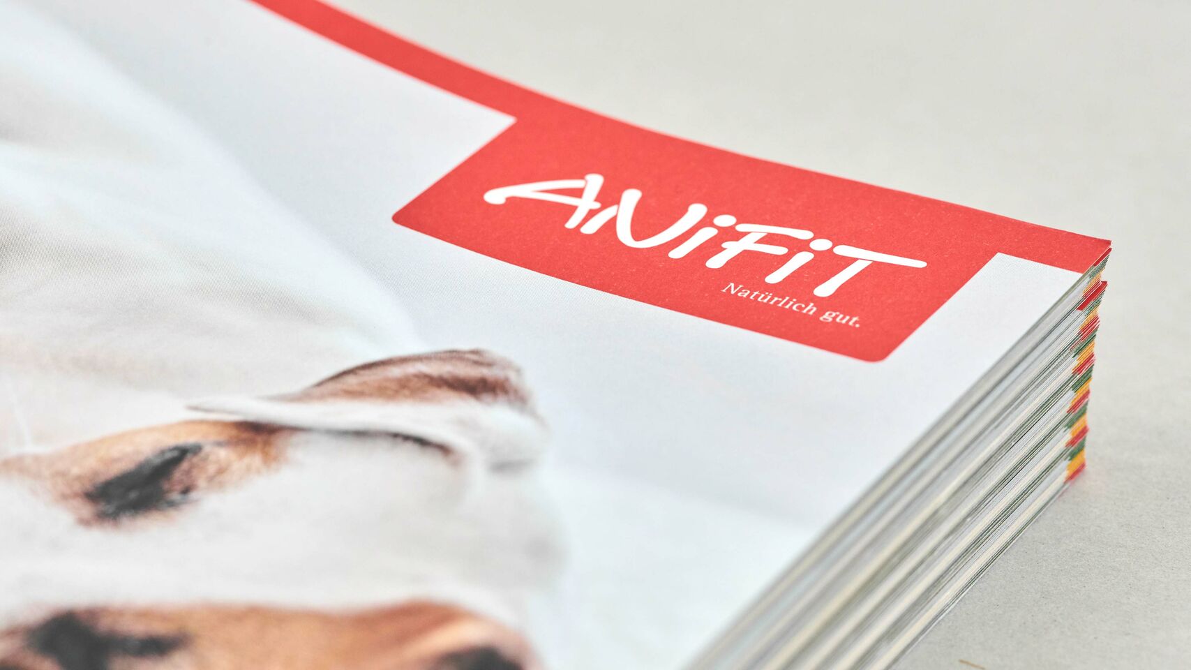 AniFit - Broschüre