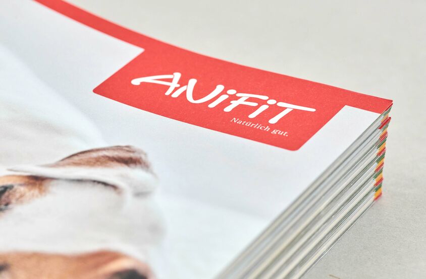 AniFit - Broschüre
