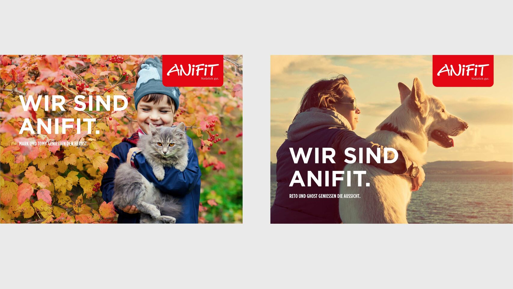 AniFit - Strategie