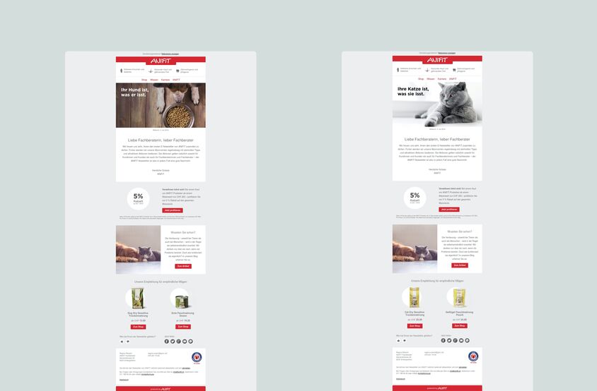 AniFit - Newsletter