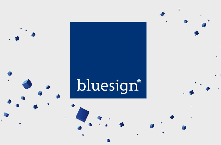 Bluesign - Teaser Logo