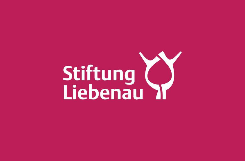 Stiftung Liebenau - Branding