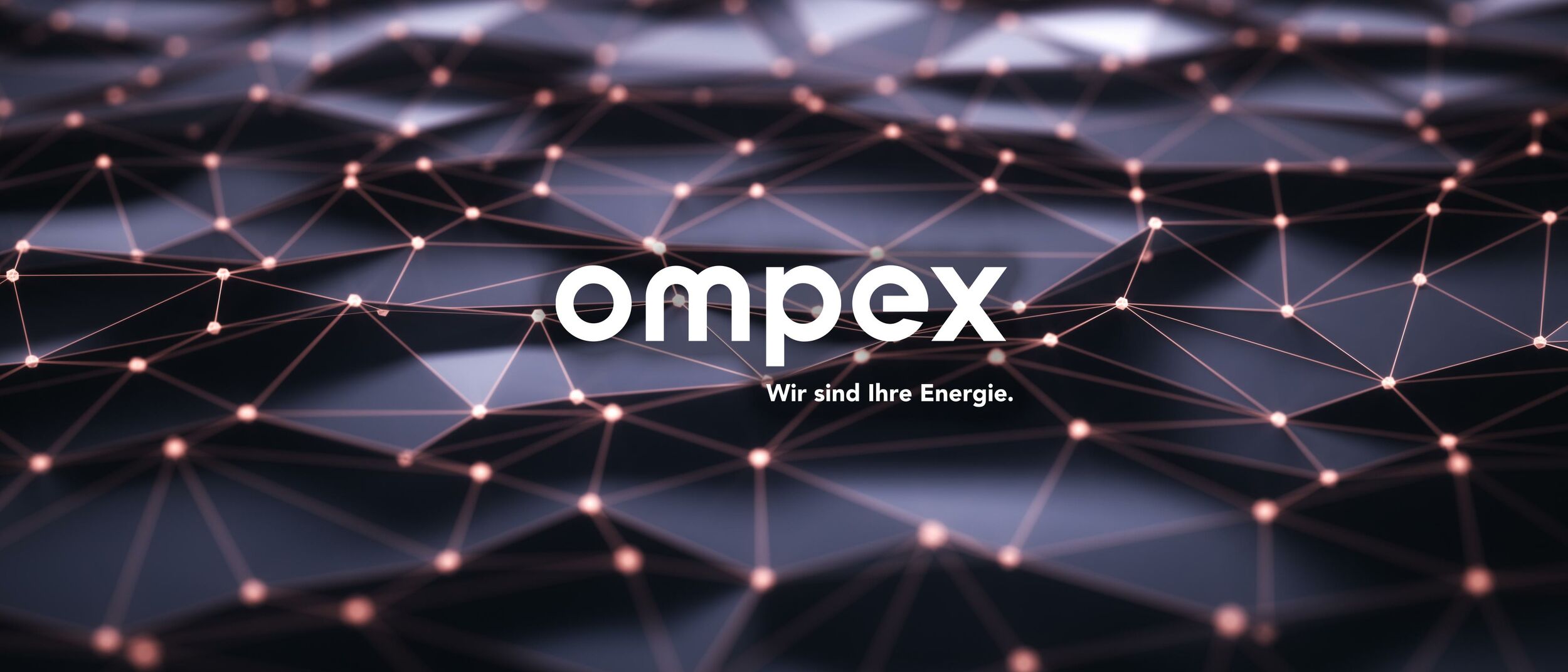 Ompex - Branding Visual