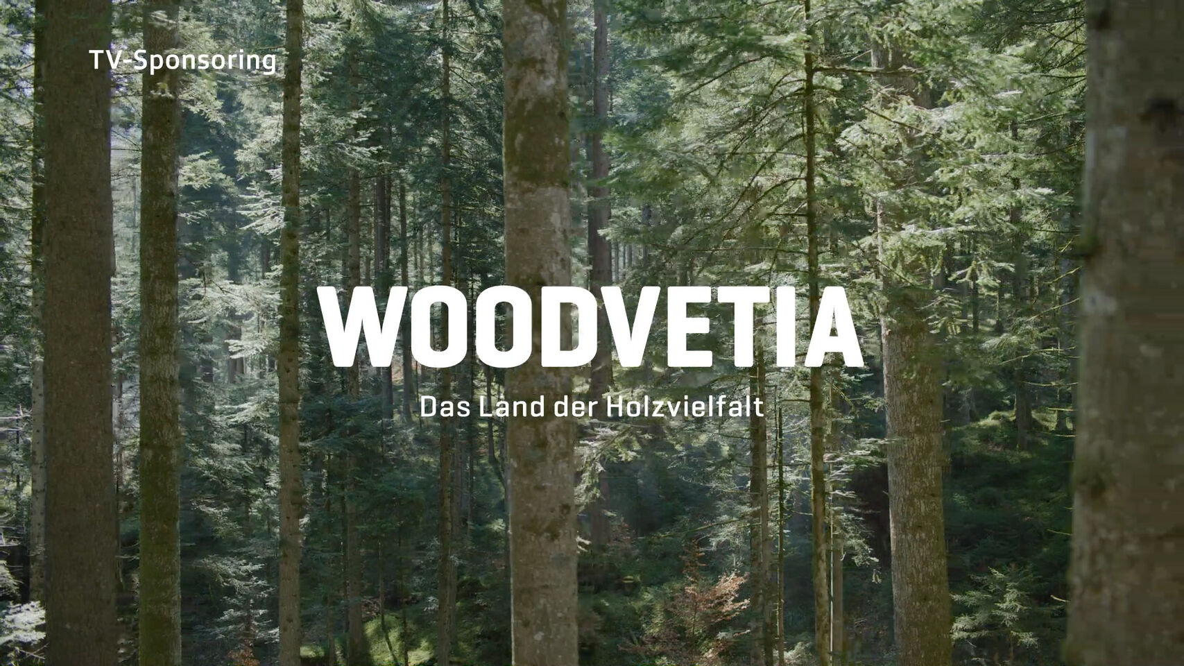 Schweizer Holz - Bildwelt
