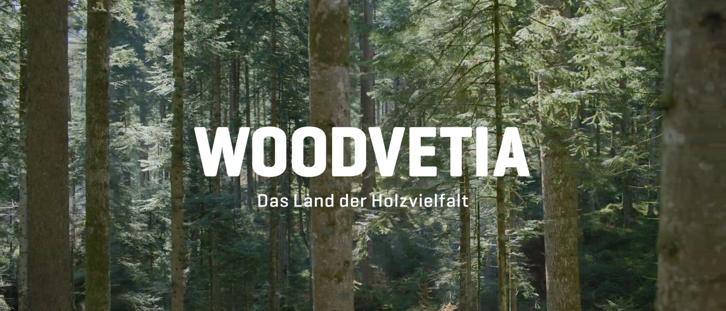 Schweizer Holz - Bildwelt