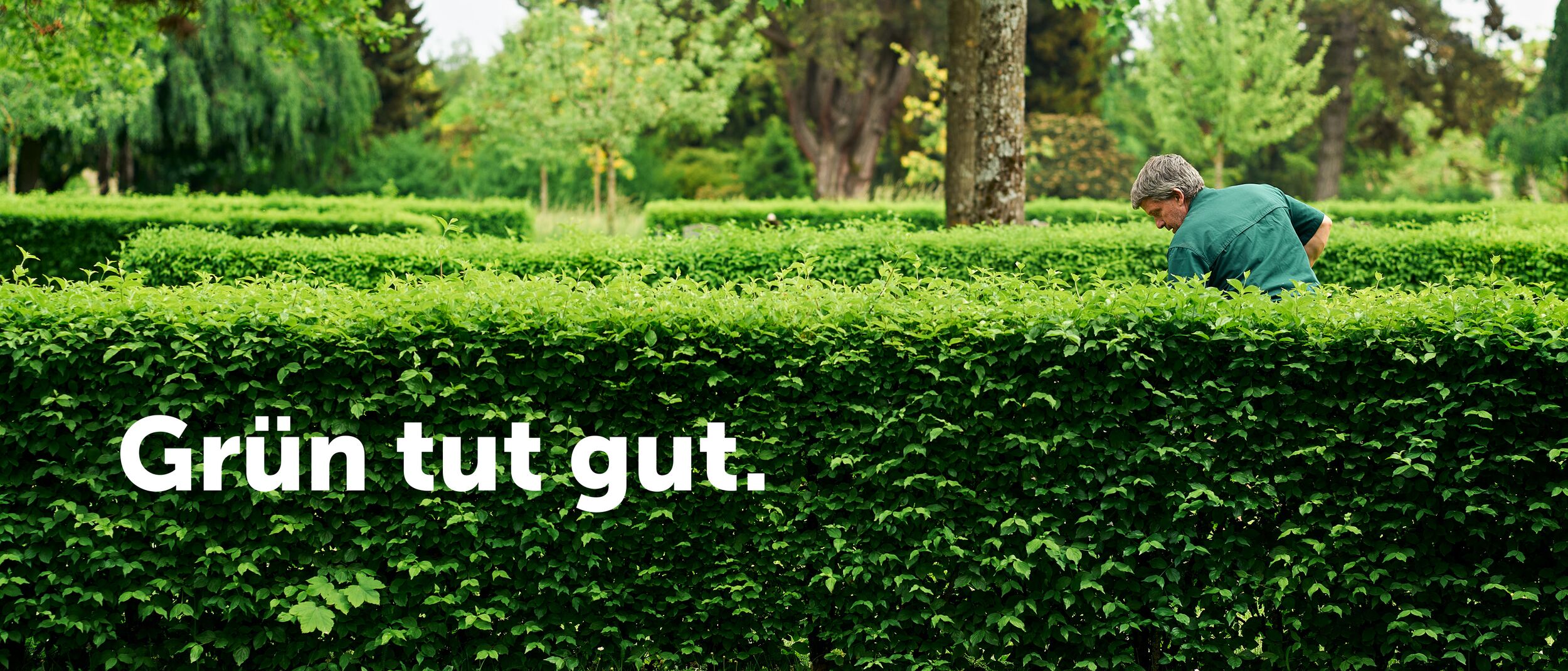 «Stadtgrün Bern – Key Visual mit Slogan ‚Grün tut gut‘»